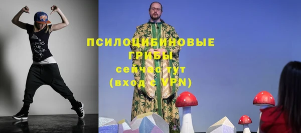 дживик Магадан