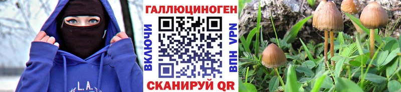 Галлюциногенные грибы мухоморы Нерюнгри